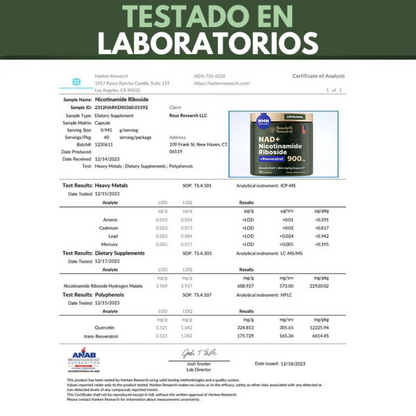 NAD+ La mejor solución contra la vejez